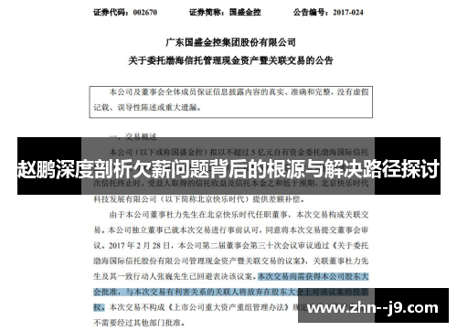 赵鹏深度剖析欠薪问题背后的根源与解决路径探讨 赵鹏深度剖析欠薪问题背后的根源与解决路径探讨