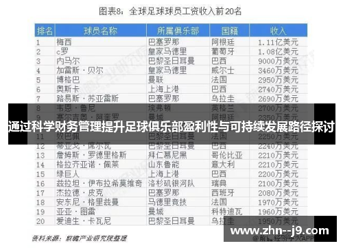 通过科学财务管理提升足球俱乐部盈利性与可持续发展路径探讨